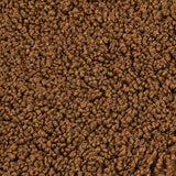Teddy Swatch