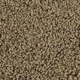 Teddy Swatch