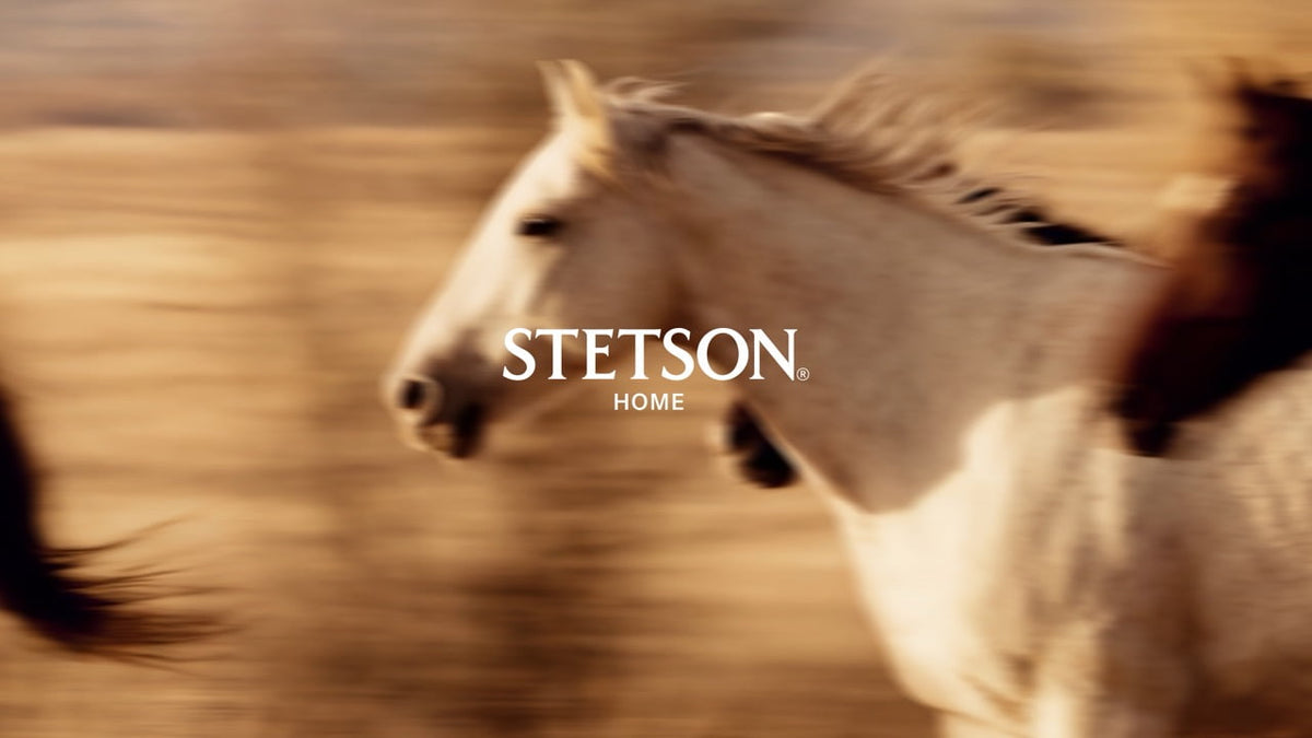 Stetson Home