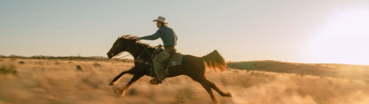 Stetson heritage