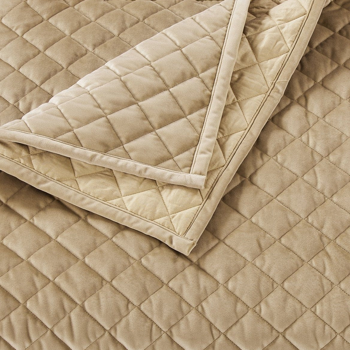 VELVET WITH A GENTLE LUSTER fabric detail